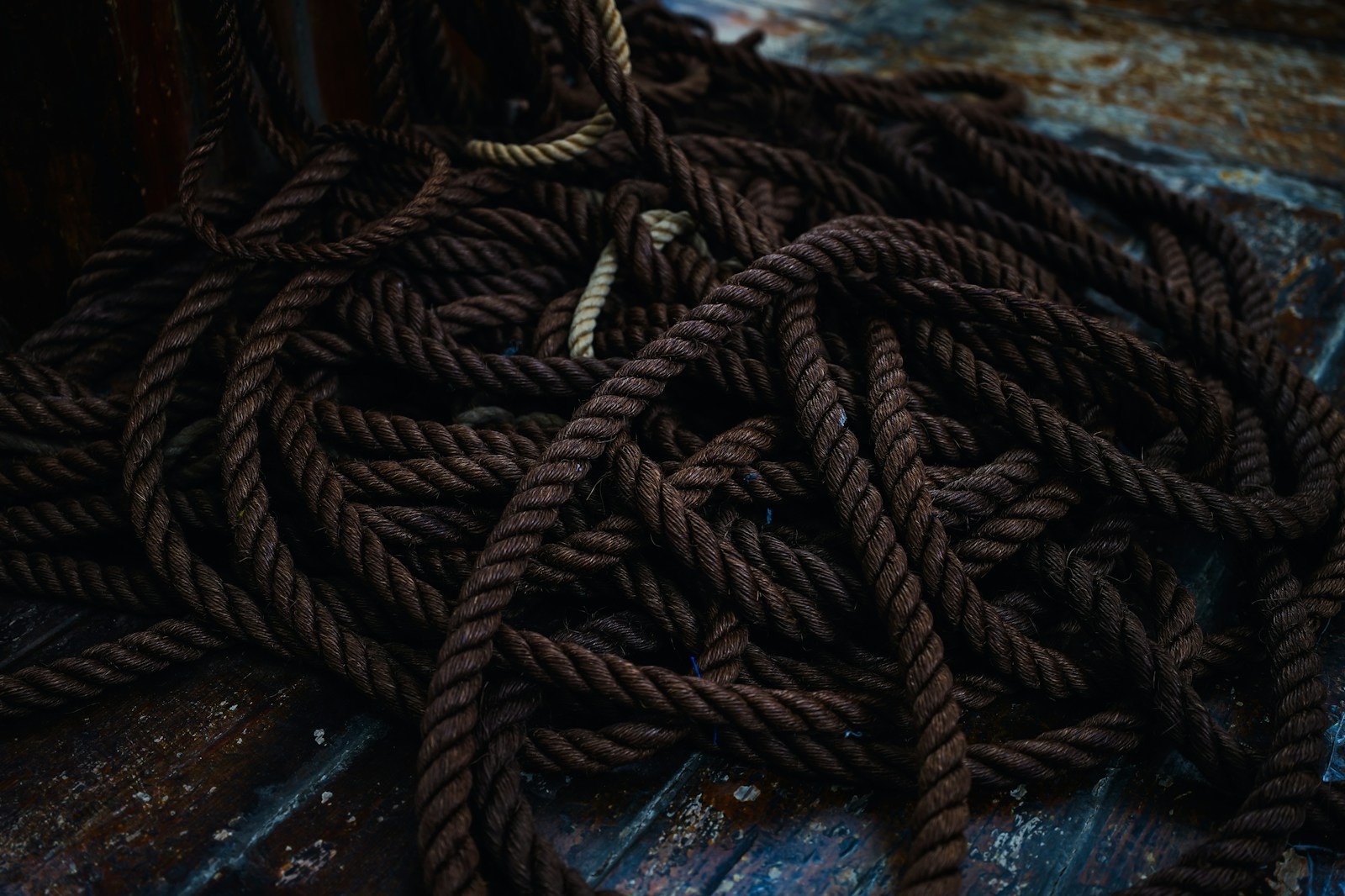 A tangle of dark rope lying on weathered wooden boards